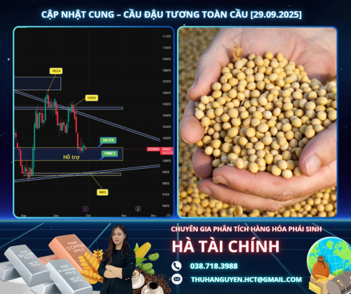 Nhu cầu nhập khẩu mạnh từ Trung Quốc có thể hỗ trợ giá đậu tương CBOT